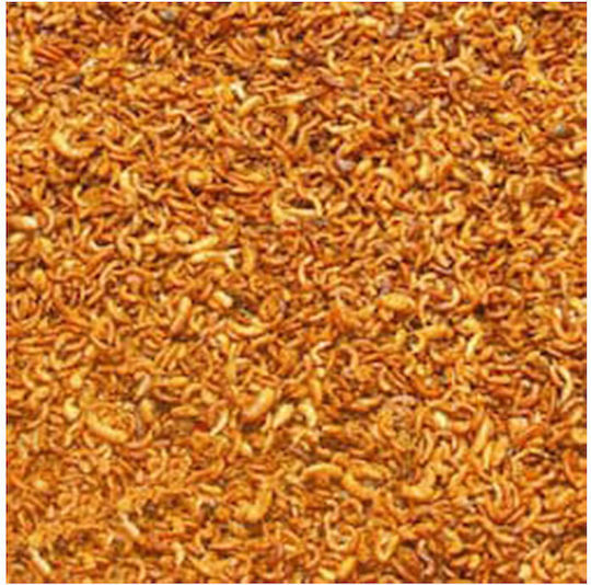 All Pet 1787 40gr