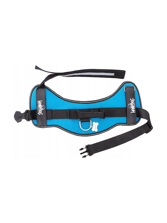 Hobbydog R2 Julletta Blue Harness Hobbydog R2 Julletta Blue Harness