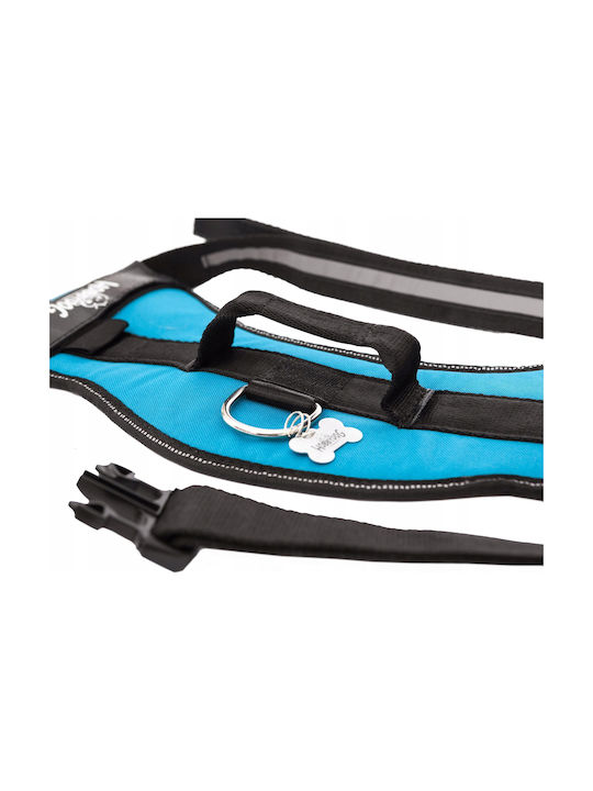 Hobbydog R2 Julletta Blue Harness