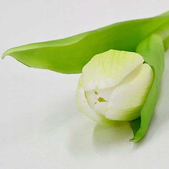 Saska Garden Tulip White 31cm Lifelike Spring Decoration