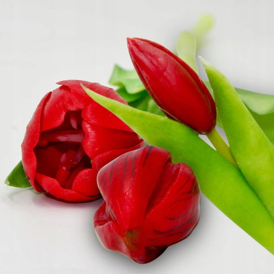 Bouquet of Red Tulips 31cm Saska Garden