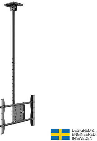 Multibrackets M Public Ceilingmount Large Single Fernsehhalterung Decke bis 63" und 40kg