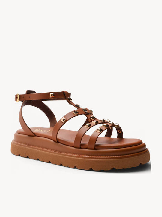 Ligglo K2611
