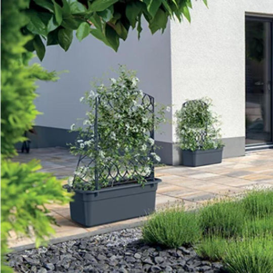 Prosperplast Blumenkasten Kunststoff Gray 580cm.