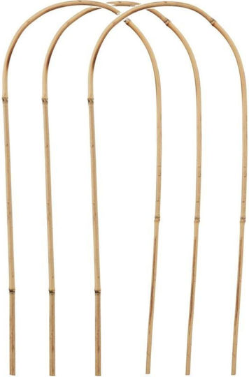 Στήριξης Φυτού Bamboo Βάσεις Γλάστρας 3τμχ