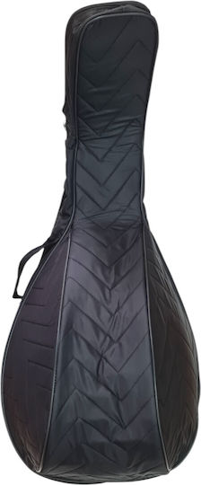 Standard Padded String Instrument Case with Black Padding