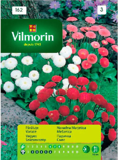 Vilmorin Cabbage Seeds