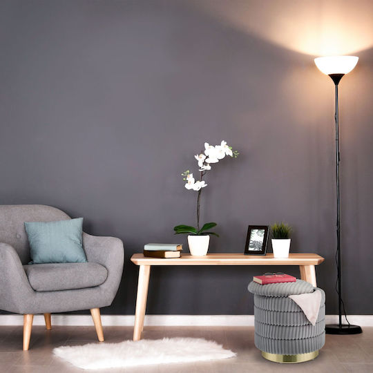Living Room Stool With Storage Space Upholstered In Velvet Gray