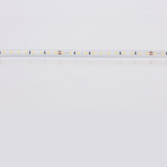 Eurolamp Ταινία LED 220V Θερμό Λευκό Φως 10m