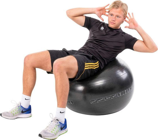 Pure2Improve Ball Pilates 65cm 0.6kg in Black Color