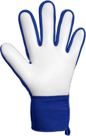 Reusch Reusch Attrakt Starter Solid Γάντια Τερματοφύλακα Ενηλίκων Μπλε