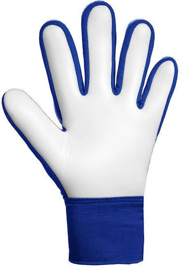 Reusch Reusch Attrakt Starter Solid Jnr Mănuși de Portar pentru Copii Albastre