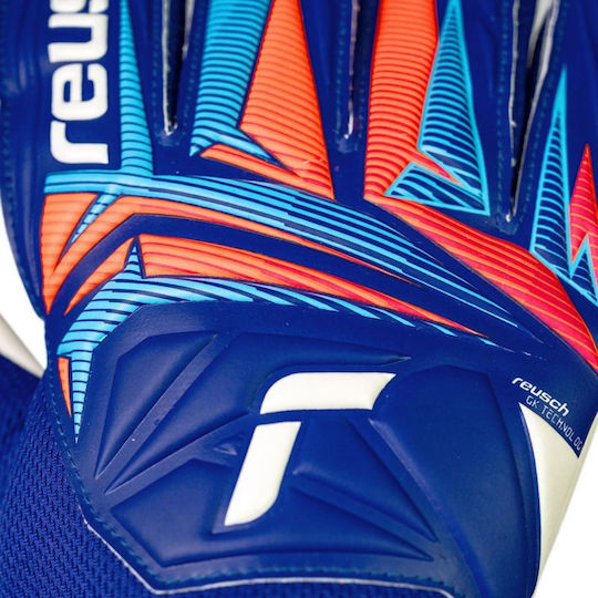 Reusch Reusch Attrakt Starter Solid Γάντια Τερματοφύλακα Ενηλίκων Μπλε