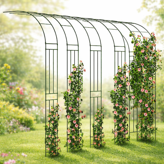 Arc Metalic Pentru Grădină Balcon Terasă Zola Plante Căţărătoare Flori Oţel Acoperit Cu PE 240 X 40 Cm Verde