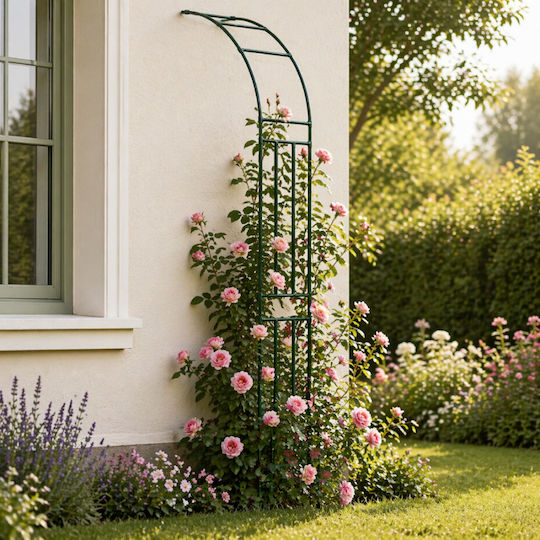 Arc Metalic Pentru Grădină Balcon Terasă Zola Plante Căţărătoare Flori Oţel Acoperit Cu PE 240 X 40 Cm Verde