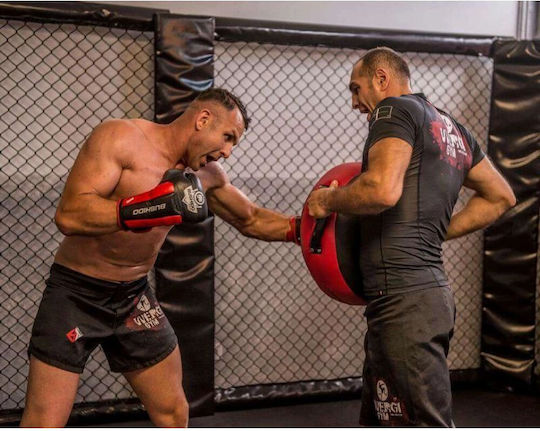 DBX Bushido KS-1 Ţintă pentru mână arte marţiale 1 buc. Negru