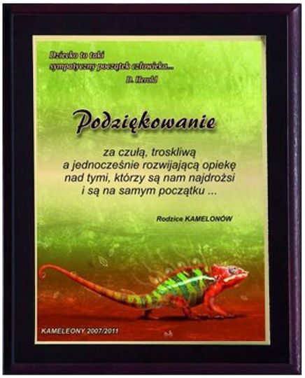 Plastic Diploma Color Touch Laminate