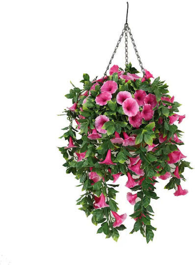 Decorative Greening Hanging Basket Rossima Petunia Pink Color