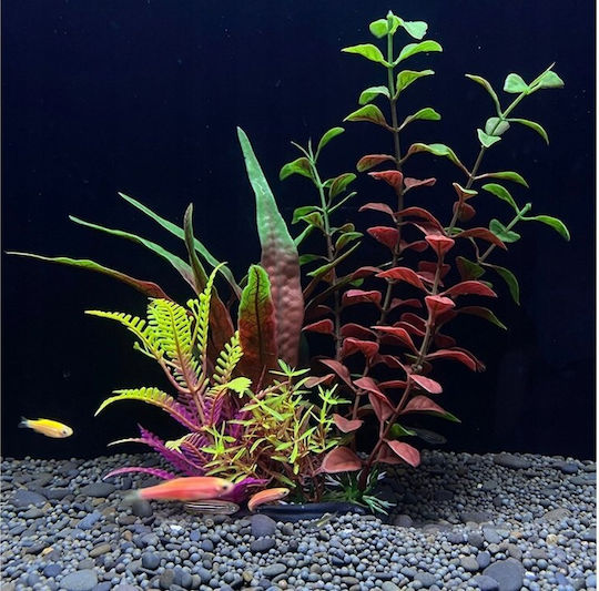 Aqua Natura Plant Aquarium Decoration Burgundy-green Plastic 18 Cm Plant Mix