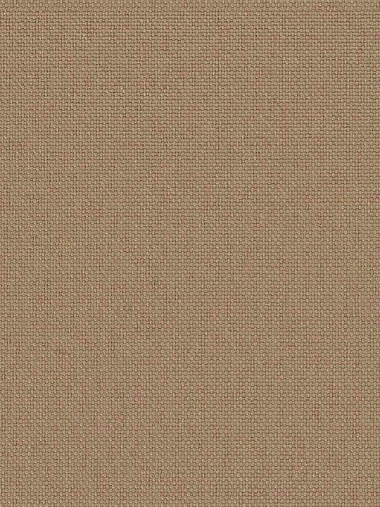 Gartenstühle Polypropylen Braune mit Kissen 2 Stück 53x47x88,5cm