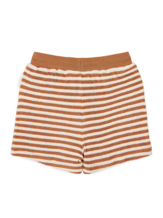 Kids Clothing Set with Shorts Summer 2 Pieces Ocean World Brown