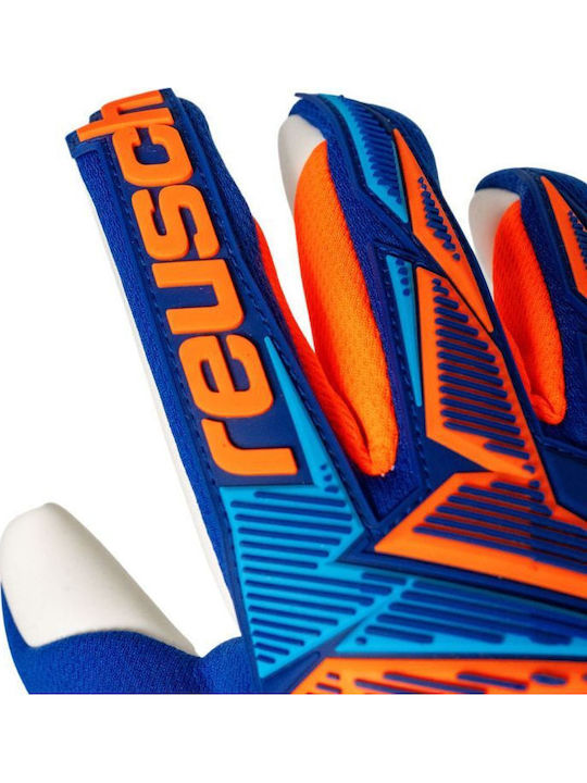 Reusch Attrakt Freegel Γάντια Τερματοφύλακα Ενηλίκων Μπλε