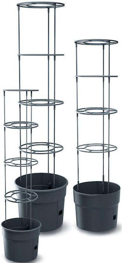 Prosperplast Ghiveci de Plantare