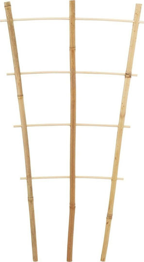 Progarden Plant Support Stands 75cm From Bamboo Set 3 Pieces