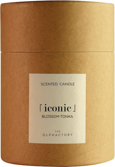 Blossom Tonka Lumânare Aromatică Vegetală Cu Capac 790gr Iconic Olphactory Blossom Tonka Lumânare Aromatică Vegetală Cu Capac 790gr Iconic Olphactory