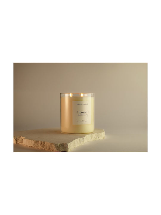 Blossom Tonka Pflanzliches Aromatisches Kerze Gefäß 790gr Ikonisch Olphactory