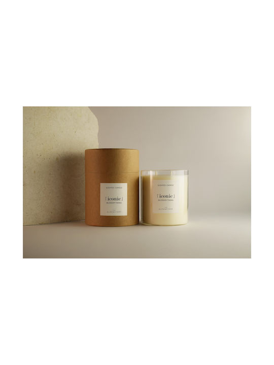 Blossom Tonka Pflanzliches Aromatisches Kerze Gefäß 790gr Ikonisch Olphactory