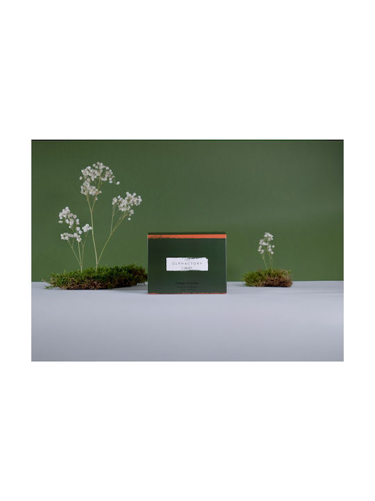 Champs Elysees Monochrome Herbal Aromatic Candle 320gr Handmade Olphactory Container