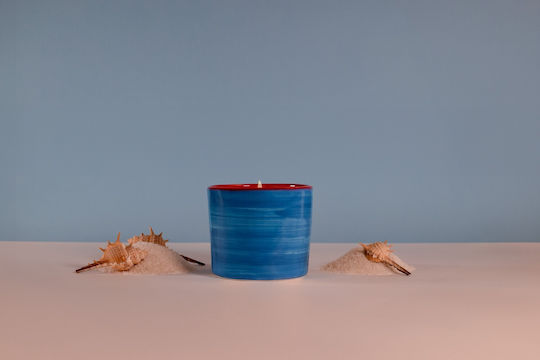 Sel De La Baie Einfarbiges Pflanzliches Aromatisches Kerze 320gr Handgefertigtes Gefäß Olphactory