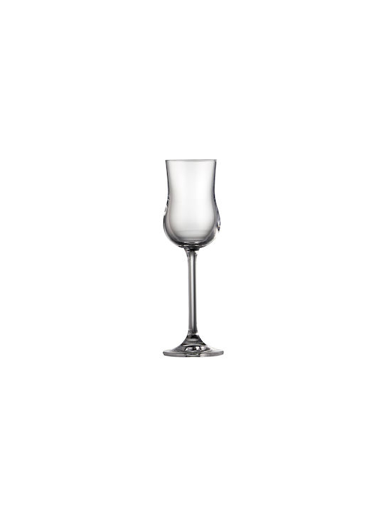 Lyngby Glass Set Cocktail/Drinking Liqueur/Ouzo Glasses 90ml 6 Pieces