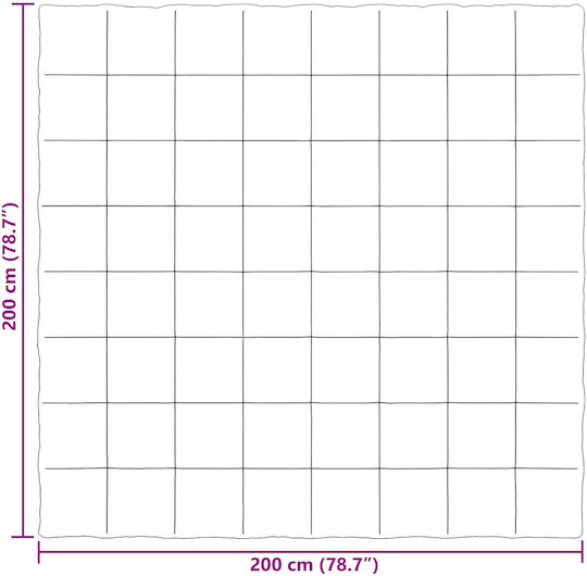 vidaXL Pătură Catifea Dublă 200x200cm Roz