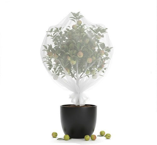 Plasă De Protecție Pentru Grădină Împotriva Insectelor Păsărilor Zola 3 X 6 M Hdpe 80 Plasă Albă