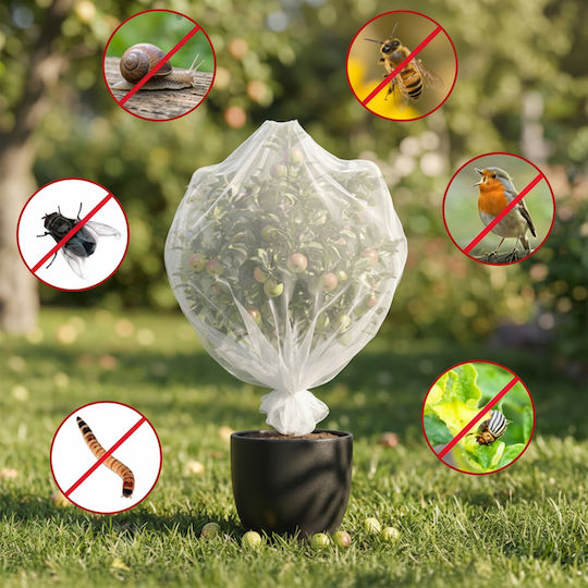 Plasă De Protecție Pentru Grădină Împotriva Insectelor Păsărilor Zola 3 X 6 M Hdpe 80 Plasă Albă