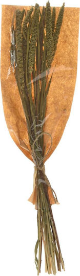 Dry Twigs