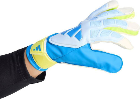 adidas Predator Training Ръкавици за вратари за възрастни сини