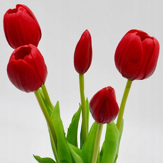 Blumenstrauß aus Tulpe Rote 39cm Saska Garden