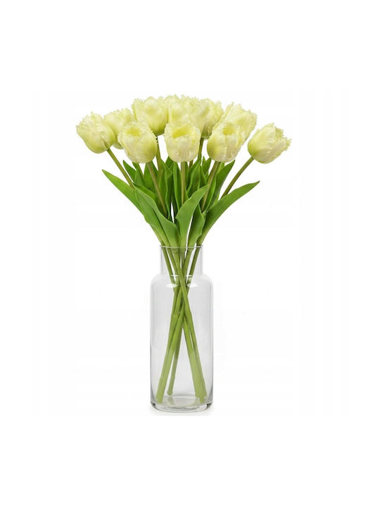 White Tulip Saska Garden