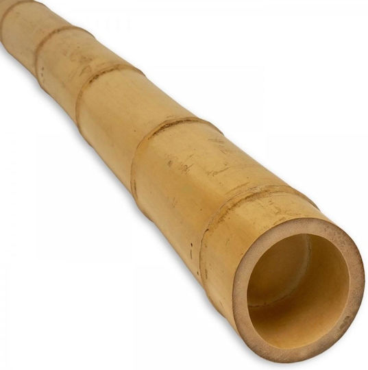 Araci Din Bambus Ø60/80 Mm 2.4 M
