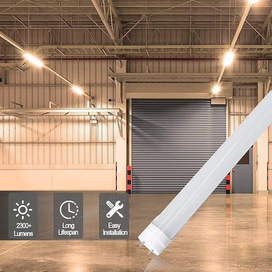 Lightplanet Bec LED 10W Tip Fluorescent și Formă T8 Alb Cald