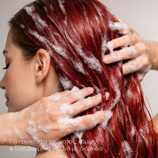 Natura Siberica Oblepikha Shampoos for Coloured Hair 400ml