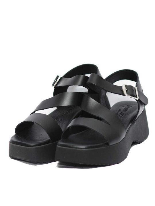 Platforme Dama Negre