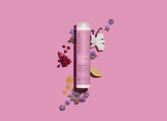 Paul Mitchell Clean Beauty Shampoos for Coloured Hair 250ml