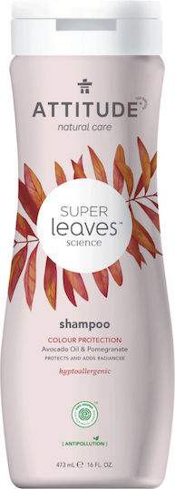 Attitude Superleaves Shampoos Glanz für Gefärbt Haare 473ml