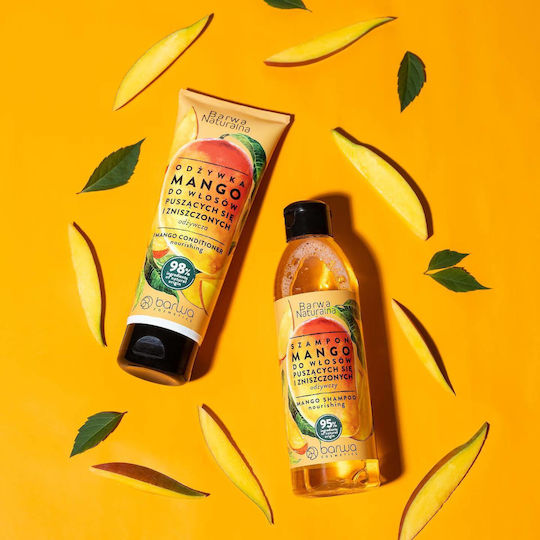 Barwa Mango Σαμπουάν Αναδόμησης/Θρέψης & Διατήρησης Χρώματος για Βαμμένα Μαλλιά 300ml