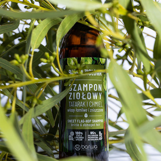 Barwa Tatarak Hops Σαμπουάν Αναδόμησης/Θρέψης & Διατήρησης Χρώματος για Ταλαιπωρημένα Μαλλιά 250ml
