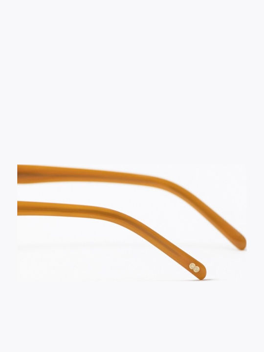 Common Sense Cs003 Men's Sunglasses with Brown Horn-Rimmed Frame and Brown Lenses